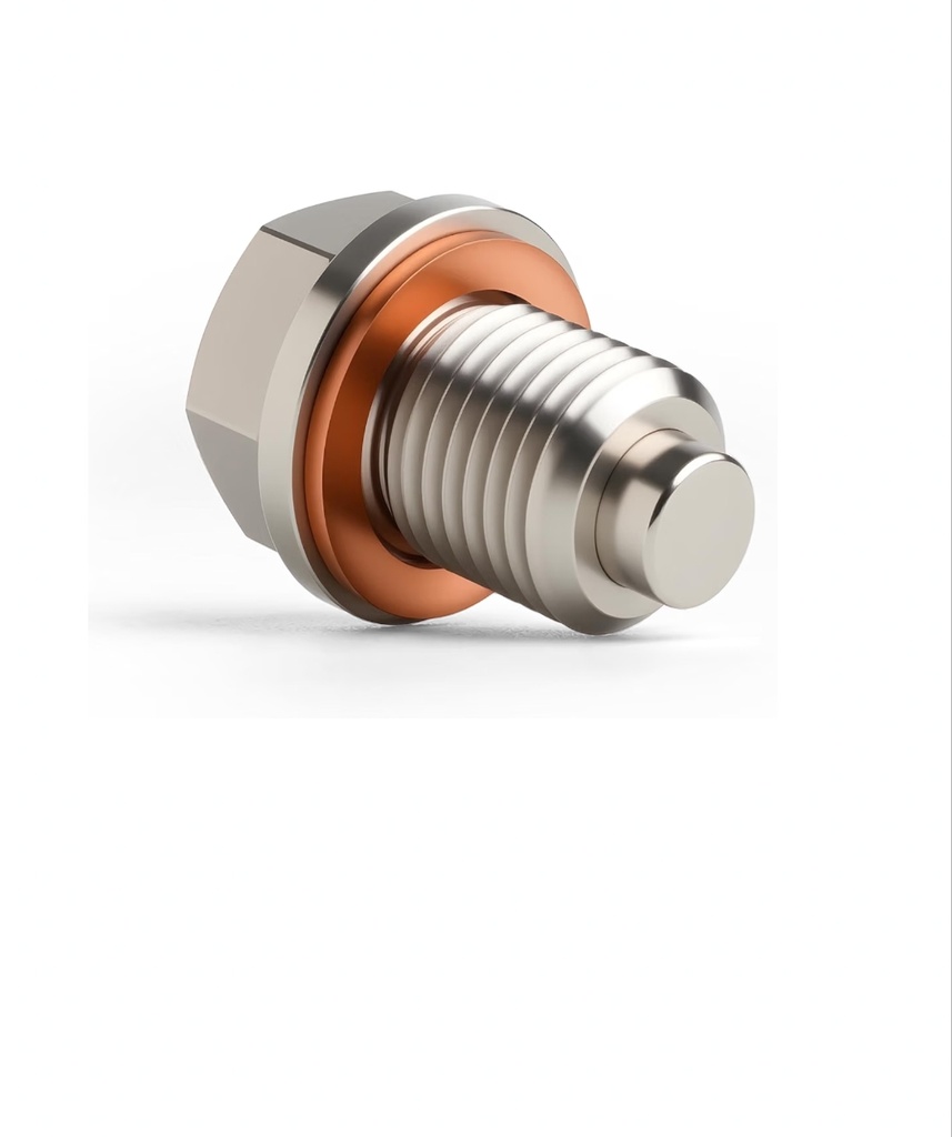 TAPON P/ CARTER M12*1.5 IMANTADO